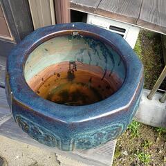 睡蓮鉢　鉢カバーの画像