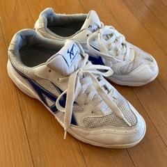 上履き　25.0　GIM STAR