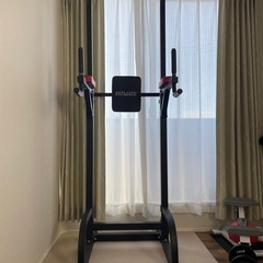 ぶら下がり健康器、懸垂マシン