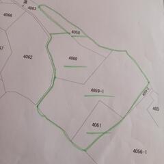 伐採後の山林ですー