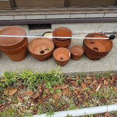 鉢。素焼　サイズは分かりませんの画像