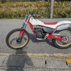 ヤマハ　ty250の画像