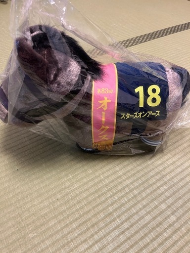 サラブレッドコレクションBIG スターズオンアース