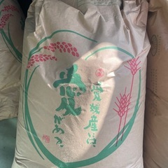 令和6年　ひのひかり　入荷次第取引再開予定です。ありがとうござい...