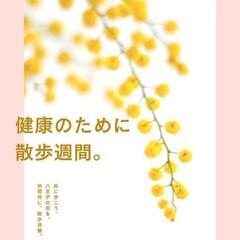 散歩仲間募集