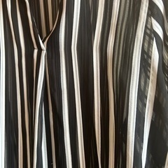 シースルーシャツの画像