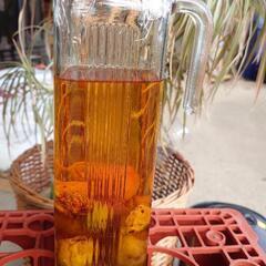 自家製梅酒 好きな方 お譲りします。