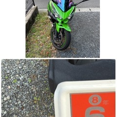 決まりました🔥早い者勝ち乗って帰れます　自賠責r8年6月まで！ニンジャ250 2021年モデルの画像