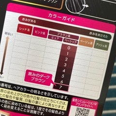 白髪染め　ストレートパーマ　差し上げますの画像
