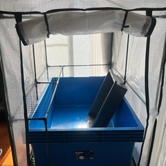 1000Lトロ舟　プールやペット飼育に！の画像