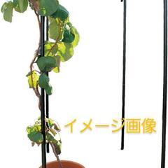09b daim パーゴラ 果物棚 セット 幅90cm 奥行12...