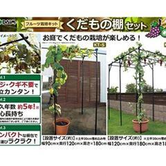 09b daim パーゴラ 果物棚 セット 幅90cm 奥行120cm 高さ180cm 藤棚 葡萄棚 ガーデン ガーデニング 棚 アーチ 園芸 キウイ棚 園芸棚 ぶどう 葡萄架 ぶどう棚 y111101bの画像