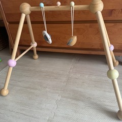 プラントイ　ベビージムの画像