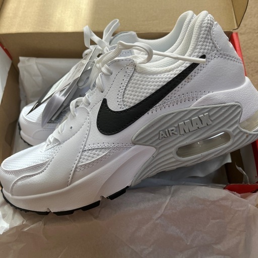 NIKE エアマックス　エクシー