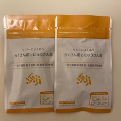 サジー　乳酸菌サプリ