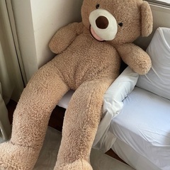 くまのぬいぐるみ