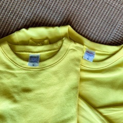 トレーナー2枚セット
の画像