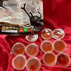 カブトムシ＆クワガタ 昆虫ゼリー！11個