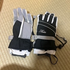 スキー用 手袋    引渡し予定者お話中の画像