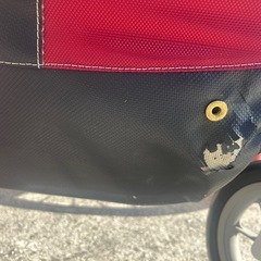 チャイルドトレーラー　THULE CHARIOT CX1の画像