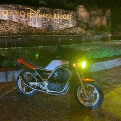 srx 250