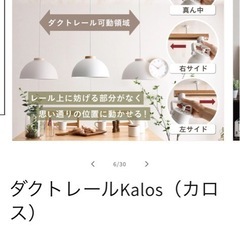 【受け渡し者決定】ダクトレールKalos（カロス）の画像
