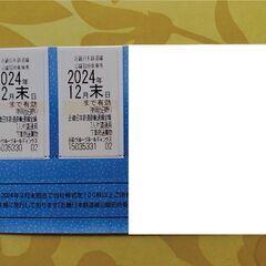 近畿日本鉄道　株主優待乗車券　２枚　（有効期限：２０２４年１２月末）
