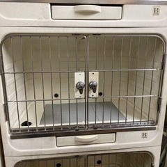 ３段犬舎　とっても丈夫🐕の画像