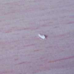 木目調　事務机　65kgのワタシが乗っても大丈夫！の画像