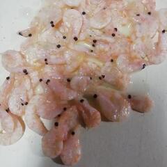 １年間常温保存釣り餌オキアミボイルLサイズ７００グラムの画像