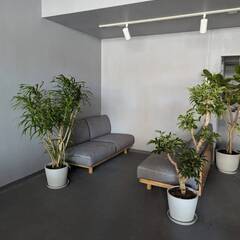 用賀にカルチャースタジオ誕生！　ワークショップやアート＆英会話など多才な講師と共に営業中！！の画像