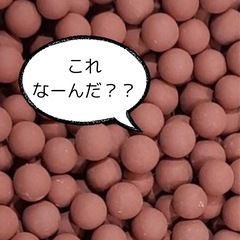 あずきじゃいよ！！黄土カイロワークショップ！！
