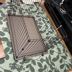 わんちゃん、猫ちゃん、うさぎさんに！光の森駅武蔵塚駅から車で10分の画像