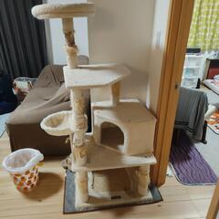キャットタワー無料です