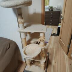 キャットタワー無料ですの画像