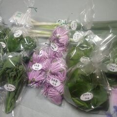 新鮮野菜コーナー11月12日の品出し予定です。