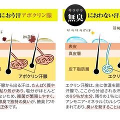 新品★制汗剤 普通肌用 2個セット②の画像