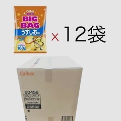 【譲渡先決定】calbeeうすしおBIGBAG(160g）