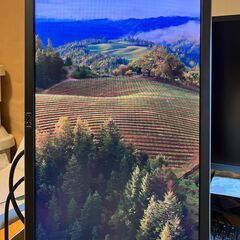 DELL モニター　ディスプレイ　22インチ　P2214Hbの画像