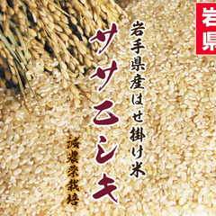 【おかげさまで完売となりました】令和6年度 新米 岩手県産 ササニシキ 玄米 20Kg  稲架掛米 （天日干し） 