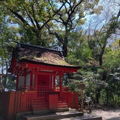 猿田彦大神さんと御縁のある方 − 愛知県