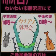 チャリティーメダカすくい＆カブト・クワガタ講習会のお知らせ✩