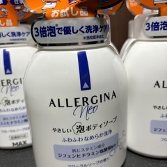 2024年購入　アレルジーナネオ　泡ボディソープ　5本の画像
