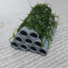 No.58❗水槽用品❗自作品❗魚の隠れ家❗