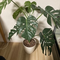 フェイクグリーン　観葉植物
