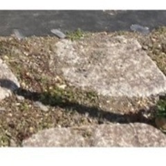敷石　踏石　(10個以上)稲田石の画像