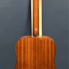 Sigma Guitars by Martin DM1