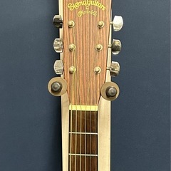 Sigma Guitars by Martin DM1