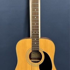 Sigma Guitars by Martin DM1 N ソフトギターケース付 Sigma Guitars