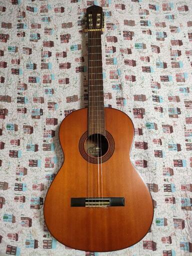 弦楽器、ギター YAMAHA G-100D